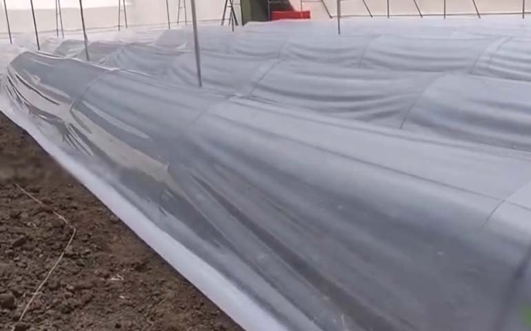 Ratan Plastic Cover