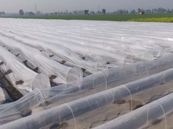 plastic rain cover